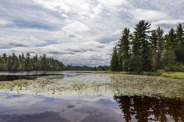 Serene Reflections at Lake One, Boundary Waters Canoe Area Wilderness - A Tranquil Gateway to the Untouched Wilderness near Ely, Minnesota