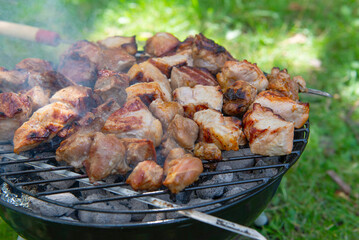 Barbecue time at the nature. Barbecue on the grill in nature. Grilled meat in grill.
