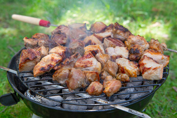 Barbecue time at the nature. Barbecue on the grill in nature. Grilled meat in grill.