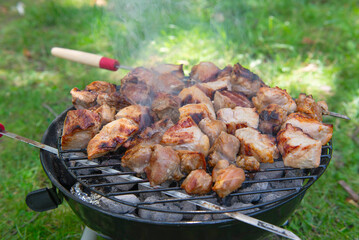 Barbecue time at the nature. Barbecue on the grill in nature. Grilled meat in grill.