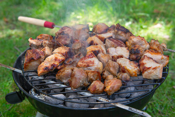 Barbecue time at the nature. Barbecue on the grill in nature. Grilled meat in grill.