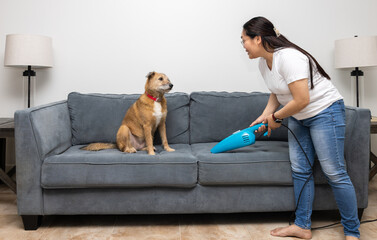 Woman vacuum cleaning the sofa and trying to keep her pet dog calm © Katya
