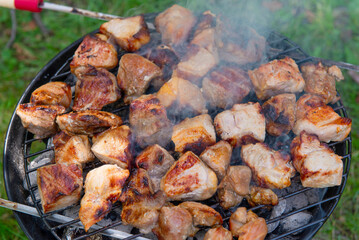 Barbecue time at the nature. Barbecue on the grill in nature. Grilled meat in grill.