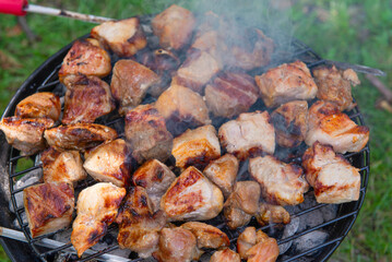 Barbecue time at the nature. Barbecue on the grill in nature. Grilled meat in grill.