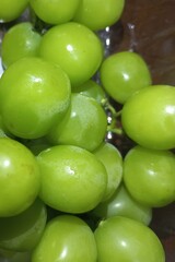 Fresh green muscat grape fruits natural photos