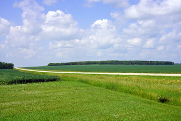 Grain fields bisected by a highway with trees in the distance