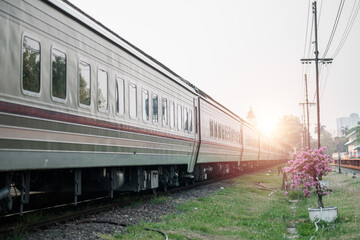 Fototapeta premium A modern passenger train moving through a rural area at sunset, with blooming flowers and power lines in the background.