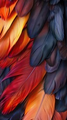 Fototapeta premium Vibrant feathers showcase a mix of rich colors, creating a striking visual effect that highlights nature's artistry
