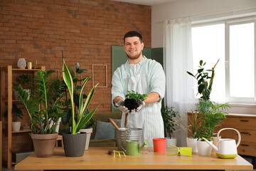 Young handsome man transplanting plant in room