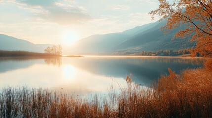 Lake with tall grass and trees