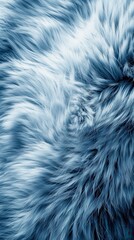 Fototapeta premium A close-up of a soft blue fur texture showcasing its fluffy and inviting appearance