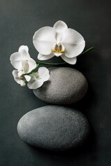 Rocks with flowers