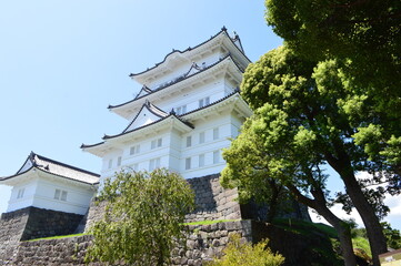 小田原城の天守閣