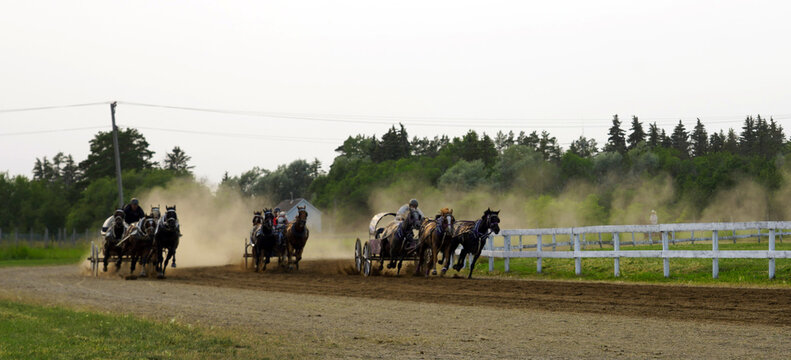 Three chuckwagons kicking up dust as they race around in a track in a country fair in Saskatchewan