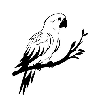 recommend clip art: bird silhouette vector design