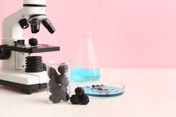 Professional laboratory glassware with blackberries, sample and microscope on table near pink wall