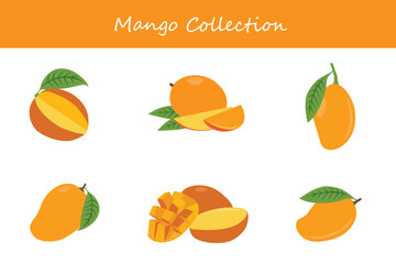 mango collection. mango in different poses. Vector illustration.