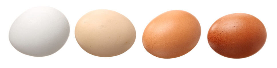 eggs on white background