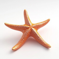 Colorful Starfish on a White Background for Children