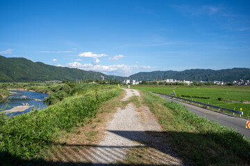 日本の田んぼ風景