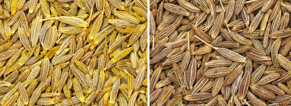 Cumin seeds texture, full frame background. Second most popular spice in the world after black pepper.