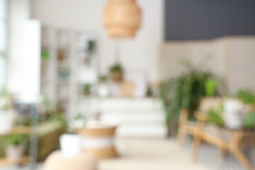 Blurred view of light living room with houseplants, green sofa and armchairs