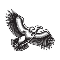 Vulture silhouette, Vulture Bird clipart, A vulture circling in the sky illustration 