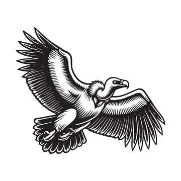 recommend clip art: Vulture silhouette, Vulture Bird clipart, A vulture circling in the sky illustration 