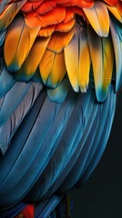 Obraz premium Brightly colored feathers glisten in the sunlight as a tropical bird rests in the rainforest