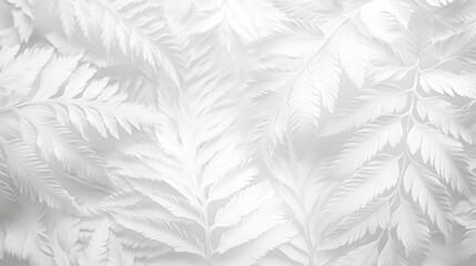Abstract White Background with Natural Elements for Design and Decoration Generative AI