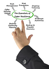 The Essentials of Cyber Resilience