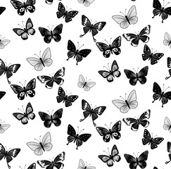 Butterfly Seamless. Butterfly Seamless Pattern. Seamless pattern&nbsp;with&nbsp;butterflies&nbsp; on white background