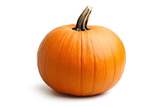 Beautiful Rustic Orange Fall and Autumn Objects on Isolated White Background