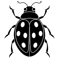 illustration of a ladybug