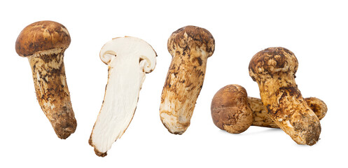 some fresh wild matsutake mushrooms on white background. © zhane luk