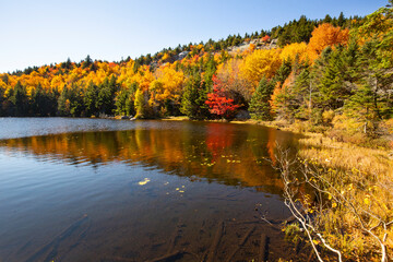 Vibrant fall foliage along the shoreline of Lake Solitude.