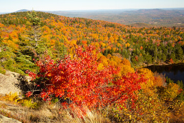 Fall foliage colors above Lake Solitude in Newbury, New Hampshire.