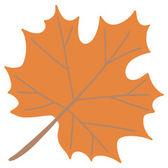 Fototapeta premium Hand drawn autumn maple leaf