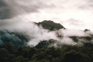 In the morning, the mountain landscape is veiled in a misty fog, with clouds drifting across the sky, while a solitary tree stands tall, embracing nature's serene beauty.
