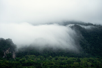 As you travel through the forested hills, the mountain peaks emerge from the fog and mist, with clouds floating above, showcasing nature’s enchanting and mysterious beauty.