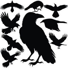 Hand drawn animals silhouette set Terrifying halloween silhouette Raven silhouette Crow silhouette Logo material