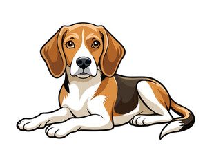 beagle dog isolated on white