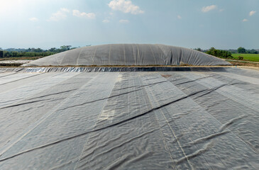 Covered lagoon digester for biogas production from poultry farm.