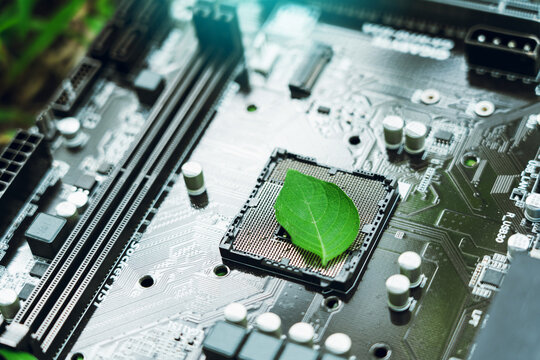 Green leaves inside a computer circuit board green technology and environmental technology Nature combined with digital technology.