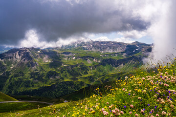 Beautiful view through flowers on a high mountain road, clouds descending on majestic mountains...