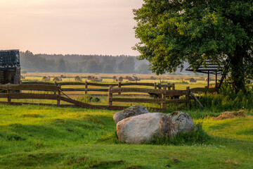 Rural landscape with a large beautiful tree, stone boulders and a wooden fence. Bales of hay in the...