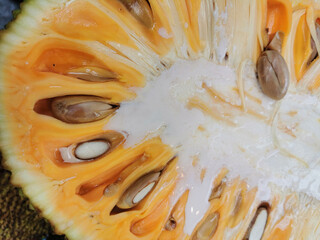 slice of jackfruit texture