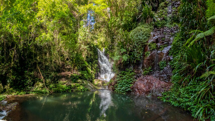 Elabana Falls, a secluded waterfall in Lamington National Park, Queensland, is a lush, rainforest retreat along the Toolona Creek circuit, Australia