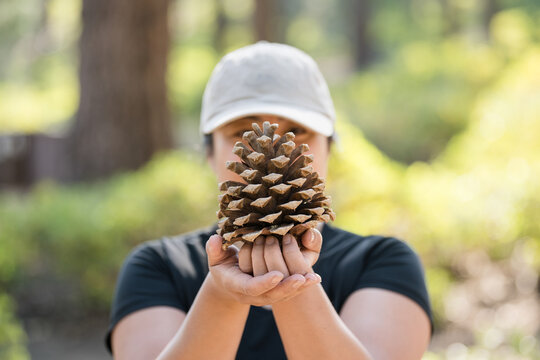 Woman holding a pine cone in the woods