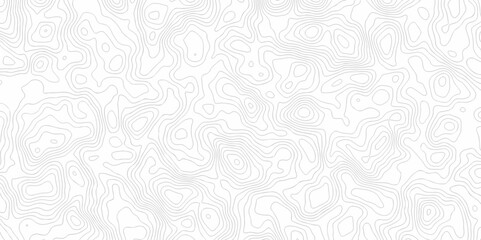 Abstract vector black wave curve Topography grid map. white wave line geography landscape Topo contour map on white background. Geographic mountain relief diagram line pattern.